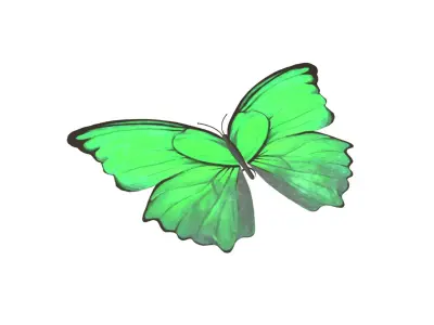 Butterfly v1 004 Low-poly 3D model