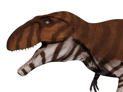 Giganotosaurus carolini  Low-poly 3D model