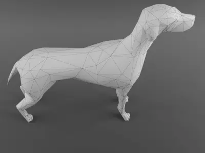 Dog 3D Model - Low Poly 2019 Nice Anatomy with 3D Scene Low-poly 3D model