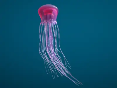 Jellyfish Small Rigged 3D model