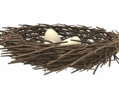 Bird nest v1 3D model