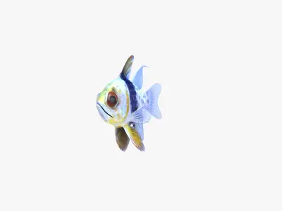Spotted Cardinalfish 3D model