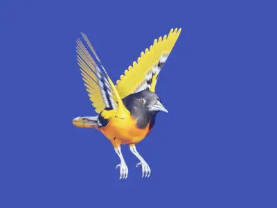 AMERICAN YELLOW BIRD Low-poly 3D model