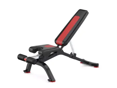 Bowflex Stowable Bench 3D model