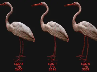 Heron Bird Low-poly 3D model