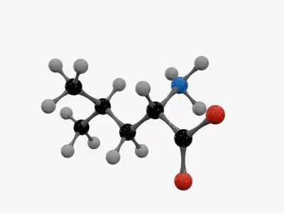 Isoleucine Molecule Low-poly 3D model