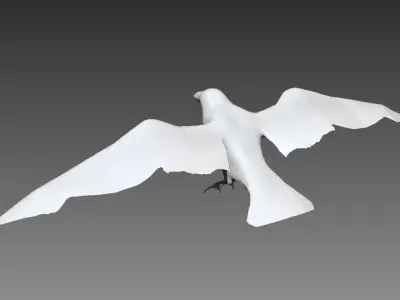 Crow base mesh for Zbrush 3D model