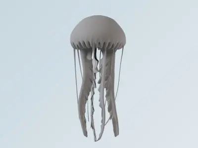 jellyfish 3D model