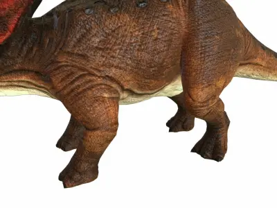 Triceratop Low-poly 3D model