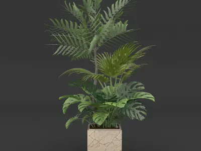 Indoor Plants Set 02 Free 3D model
