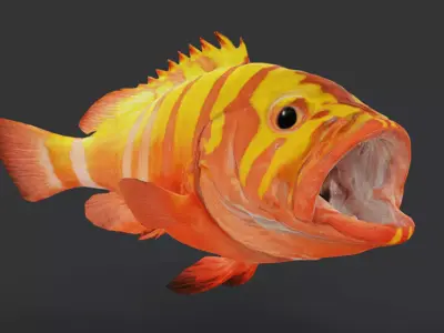 Realistic Neptune Grouper Animated 3D model
