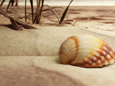 3D-Scanned Seashells - Set of 12 Seashells Low-poly 3D model