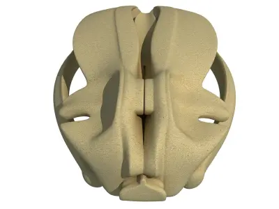 Detailed Whale Skull 3D model