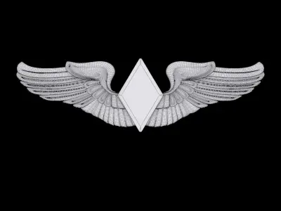 Women Airforce Service Pilots Wings Badge 3D model