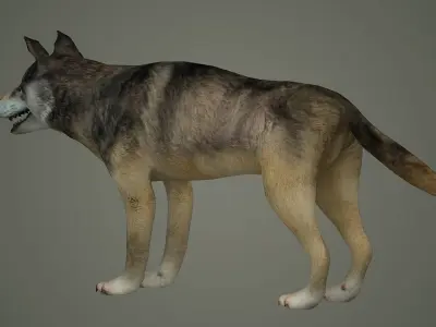 wolf animal low poly fur black arctic american mammal  3D model