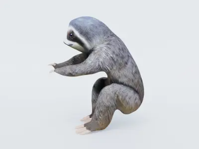 Sloth Free 3D model