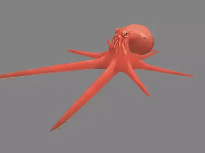 Cartoon Octopus Low-poly 3D model