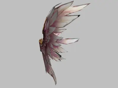 Custom Wings Low-poly 3D model