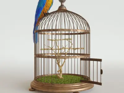 Parrot Ara 3D model