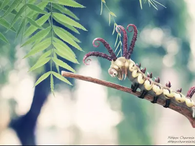 Caterpillar Brahmin moth 3D model  3D model