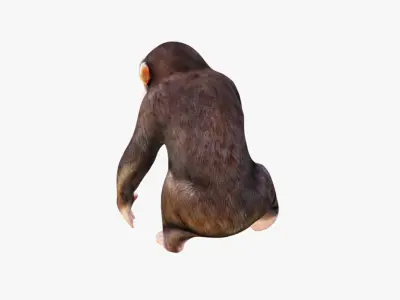 Monkey Free 3D model