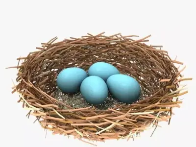 BirdsNest bird nest 3D model