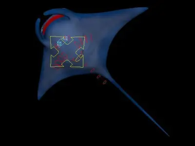 Manta Ray RIG 3D model