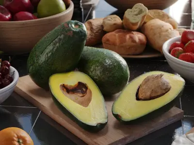  Zutano Avocado Models 