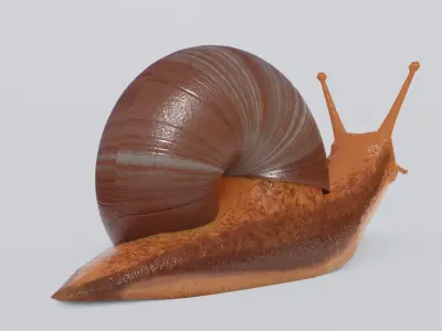 Low Poly Snail 3D Model Low-poly 3D model