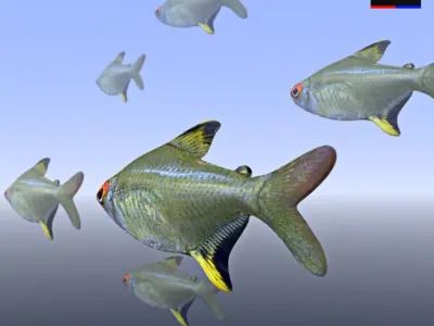 Realistic River Fish 3D model