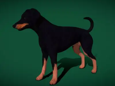 Doberman Dog Natural Breed Free low-poly 3D model