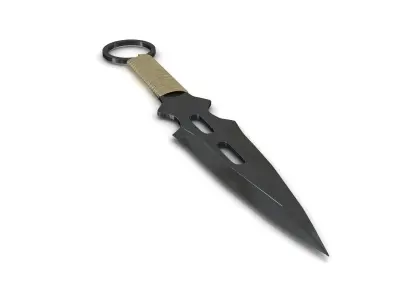 Knife Throwing 3D model