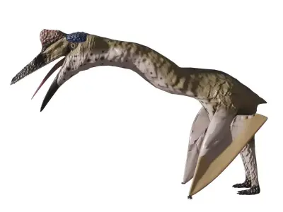Quetzalcoatlus Simple Quetzalcoatlus rigged 3D model