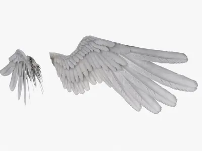 wings - Alas de Angel - Low poly Low-poly 3D model