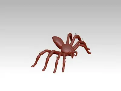 Spider insect 3D model