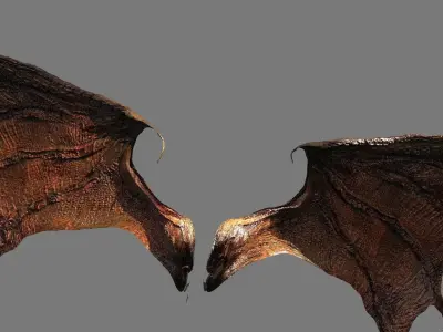 Ancient Jurassic Dragon Wings 2 wider 3D model