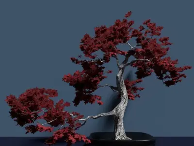 High Polly multi part Bonsai Maple 3D model 3D model