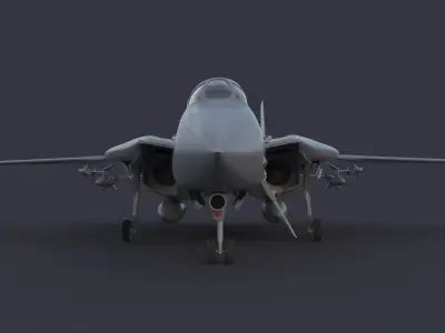 F 14 Tomcat 3D model