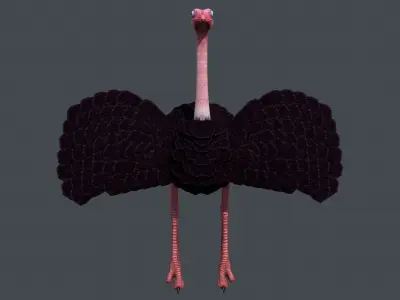 Ostrich bird Low-poly 3D model