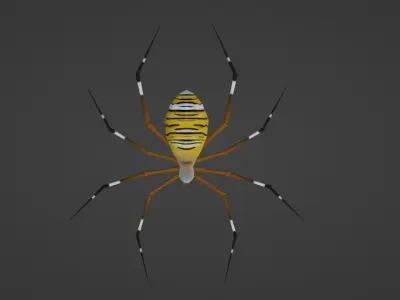 ANIMATED TIGER SPIDER Low-poly 3D model
