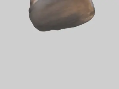 Moose Stomach Low-poly 3D model