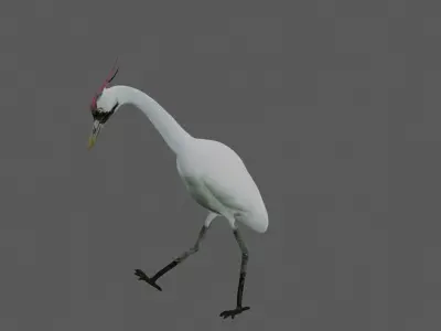 Crane Bird Low-poly 3D model