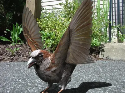 House Sparrow - rigged - animated 3D model