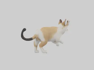 Manx Cat playing model 3 hands Low-poly 3D model