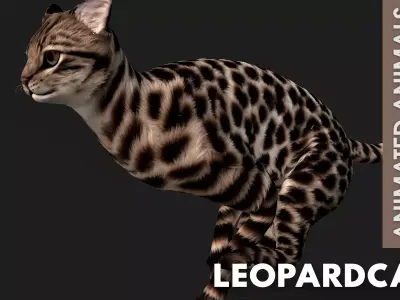 LeopardCat A1 Free 3D model