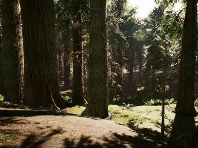 Redwood forest for game ready Low-poly 3D model