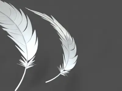 Feathers Set - 7 Assets 3D model