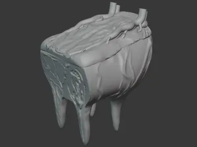 Cow udder 3D model