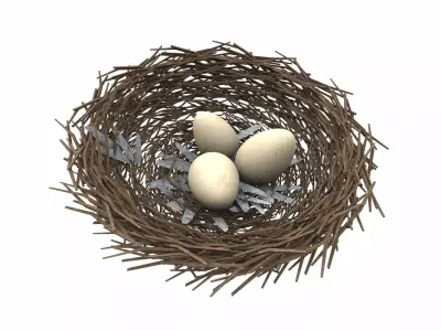Bird nest v1 3D model