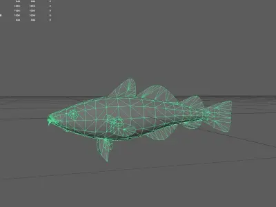 Greenlandcod Low-poly 3D model